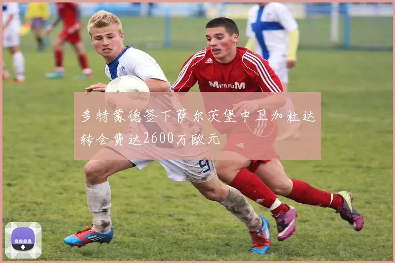 多特蒙德签下萨尔茨堡中卫加杜达转会费达2600万欧元