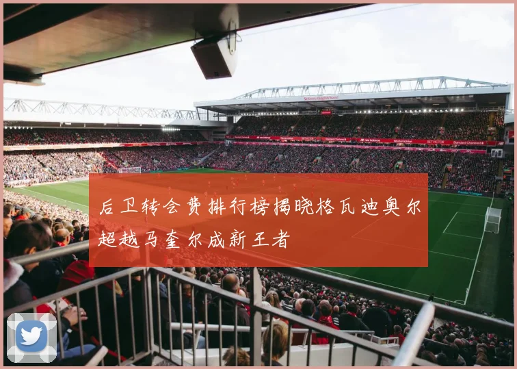 后卫转会费排行榜揭晓格瓦迪奥尔超越马奎尔成新王者