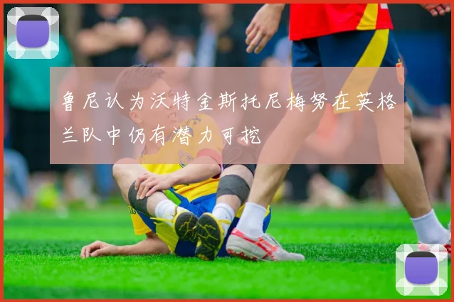 鲁尼认为沃特金斯托尼梅努在英格兰队中仍有潜力可挖